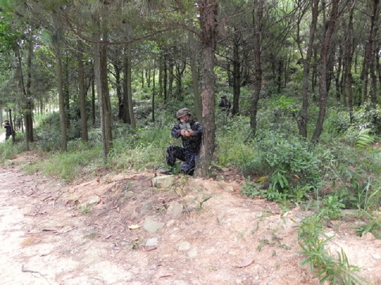 CQ9(电子中国)官方网站