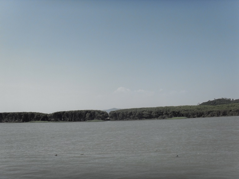 CQ9(电子中国)官方网站