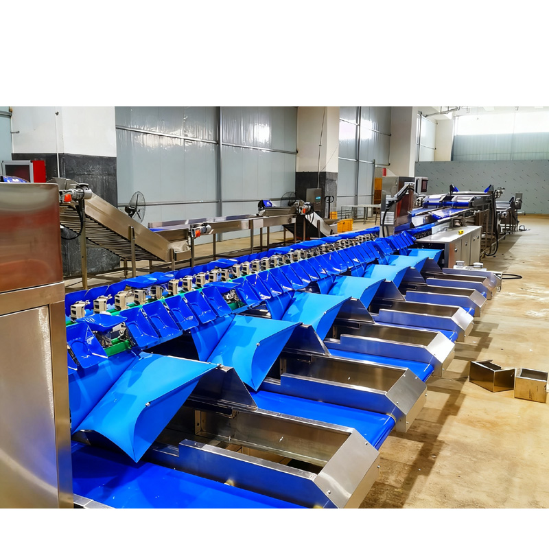 自动果蔬分拣解决规划